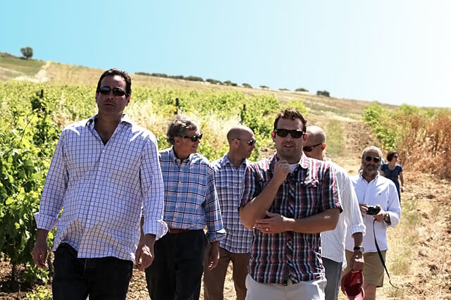 PASSEGGIATA IN VIGNA